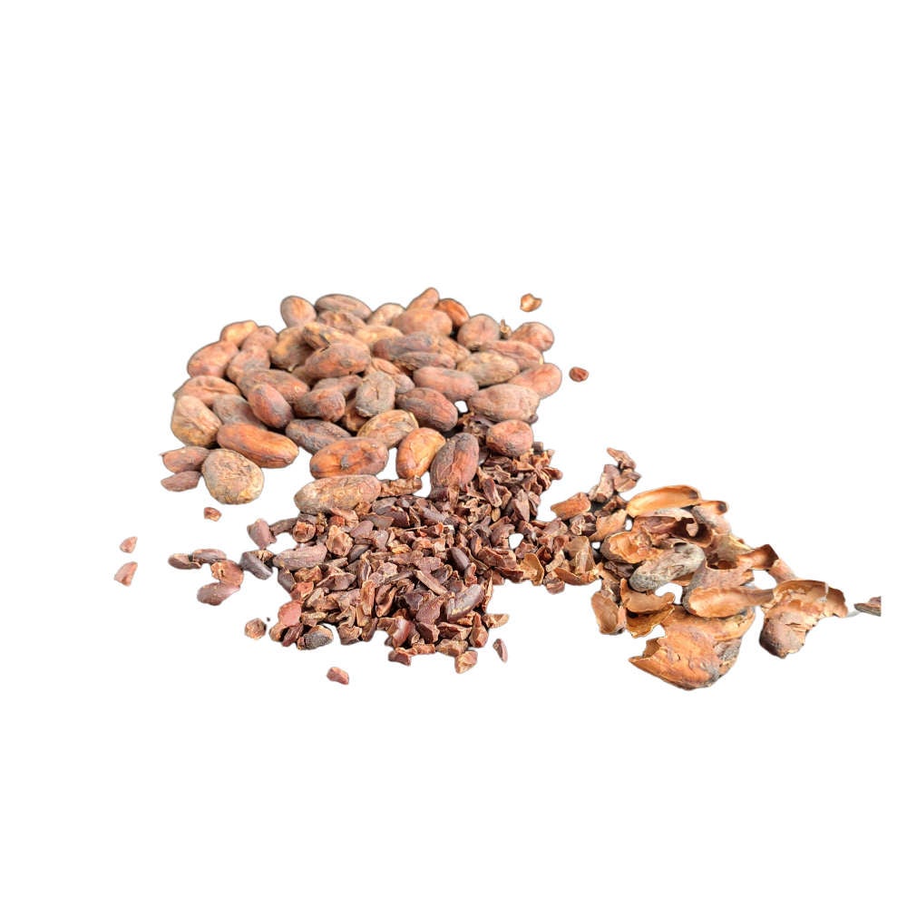 Borneo Cocoa Beans/Nibs Explore Chocolate